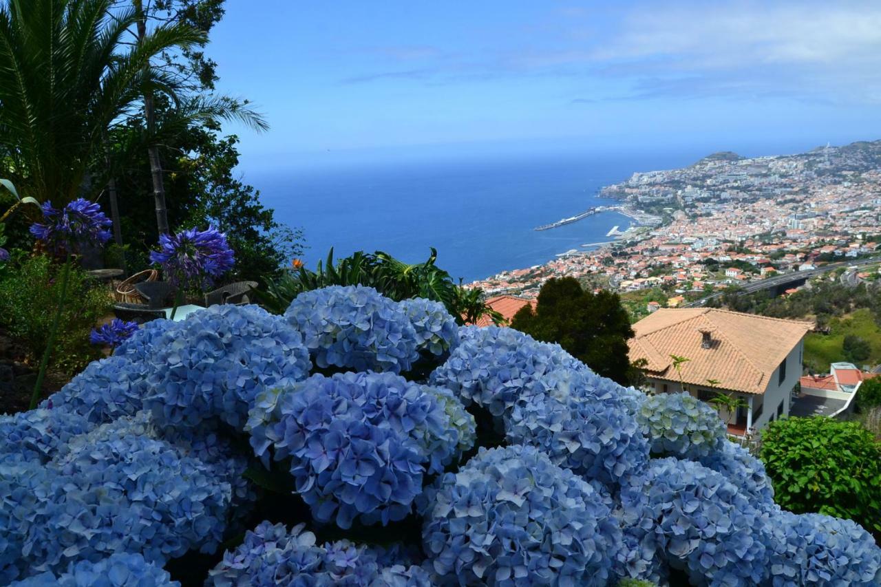 Holiday House 4 You Villa Funchal  Luaran gambar